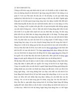 phan tich hoat dong tin dung ngan hang Sacombank Can Tho.doc