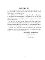 Một  số giải pháp nâng cao chất lượng dịch vụ chứng khoán đối với khách hàng VIP của Công ty Cổ phần Chứng khoán Hà Nội.DOC