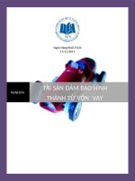 Tai san dam bao hinh thanh trong tuong lai.docx