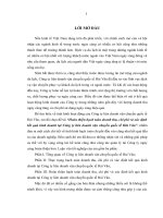 Hoàn thiện hạch toán doanh thu, chi phí và xác định kết quả kinh doanh tại Công ty liên doanh vận chuyển quốc tế Hải Vân (2).DOC