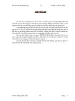 lập báo cáo tài chính và phân tích báo cáo tài chính tại công ty TNHH XD Bình Minh.doc