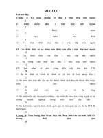 Đầu tư trực tiếp của Nhật Bản vào các nước ASEAN và một số bài học kinh nghiệm đối với Việt Nam trong việc thu hút FDI của Nhật Bản.DOC