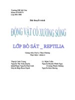 Lớp bò sát