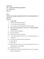 Trình bày việc ứng dụng công nghệ thông tin hỗ trợ cho hoạt động logistics của Sannamfood.doc