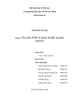 Tiểu luận Thu phí ATM có phải là độc quyền nhóm.doc