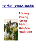 Báo cáo quản trị nhân lực 5.pdf