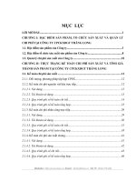 THỰC TRẠNG KẾ TOÁN CHI PHÍ SẢN XUẤT VÀ TÍNH GIÁ THÀNH SẢN PHẨM TẠI CÔNG TY CPCKXDGT THĂNG LONG.DOC