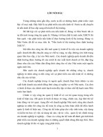 TSCD - XD Phuong DUy.pdf