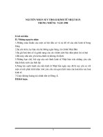 NGUYÊN NHÂN SUY THOÁI KINH TẾ NHẬT BẢN trong những năm 1990.doc