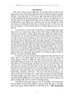 Một số giải pháp nhằm giữ gìn và phát triển thị trường sản phẩm của công ty TNHH Nhật Bản.DOC