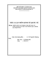 Những bất cập trong thu hút FDI khi gia nhập WTO.doc