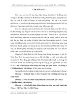 Một số giải pháp nhằm nâng cao năng lực cạnh tranh  của Công ty Cổ Phần Điện Cơ Hải Phòng.doc