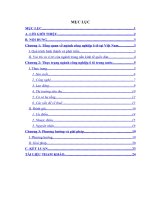 Thực trạng nghành công nghiệp ô tô Việt Nam.DOC