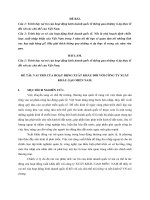 Vai trò của hoạt động xuất nhập khẩu đối với công ty xuất khẩu gạo miền nam.docx