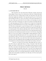 Phân tích tình hình hoạt động tín dụng của NHCT_AG.doc