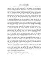 Nâng cao chất lượng dịch vụ vận chuyển hành khách cho hãng Hàng không quốc gia Việt Nam (VNA).doc