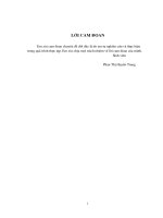 Những vấn đề cơ bản về cạnh tranh và năng lực cạnh tranh của CTCK.DOC