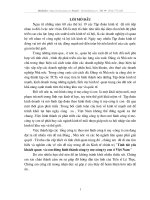 Tính tất yếu khách quan  và con đường hình thành công ty mẹ-công ty con ở Việt Nam .Doc