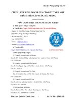 CHIẾN LƯỢC KINH DOANH CỦA CÔNG TY TNHH MỘT THÀNH VIÊN CẤP NƯỚC HẢI PHÒNG.doc