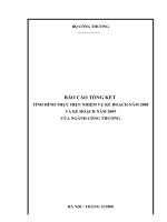 Tổng kết tình hình thực hiện nhiệm vụ kế hoạch năm 2008 và kế hoạch năm 2009 của ngành công thương.doc