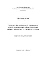 Phân tích hiệu quả sản xuất - kinh doanh của các doanh nghiệp ngành công nghiệp chế biến trên địa bàn thành phố Hồ Chí Minh.pdf