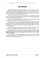 Hoàn thiện kế toán tập hợp chi phí và tính giá thành  sản phẩm  trong các doanh nghiệp công nghiệp.DOC