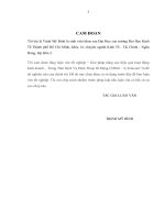 Giải pháp nâng cao hiệu quả hoạt động kinh doanh - Trung tâm dịch vụ điện thoại di động CDMA - S-Telecom.pdf