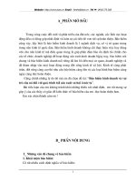 Bảo hiểm kinh doanh và vai trò của nó đối với quá trình táI sản xuất xã hội ở nước ta.DOC