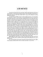 Thực chất của cổ phần  hoá các doanh nghiệp Nhà nước .DOC