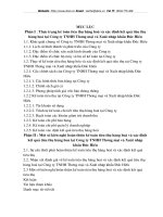 Hoàn thiện hạch toán tiêu thụ hàng hoá và xác định kết quả tiêu thụ hàng hoá tại Công ty Thương mại và Xuất nhập khẩu Đức Hiếu.DOC