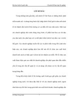 Những giải pháp nâng cao hiệu quả sử dụng vốn lưu động tại công ty TNHH công nghệ phẩm Thăng Long.docx