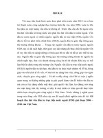 Kế hoạch thu hút vốn đầu tư trực tiếp nước ngoài (FDI) giai đoạn 2006 – 2010 của Việt Nam.DOC