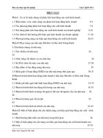 Một số biện pháp nâng cao hiệu quả sản xuất kinh doanh của nhà máy Đát đèn và Hóa chất Tràng Kênh.doc