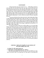 Thực trạng và giải pháp phát triển DNNN ở Việt Nam hiện nay.doc