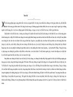 Xây dựng chiến lược phát triển một loại tấm ốp đa năng có tính đàn hồi cao có khả năng giảm chấn thương do va đập.doc