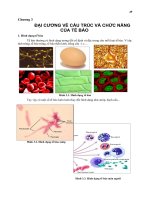 Sinh học đại cương c3.pdf