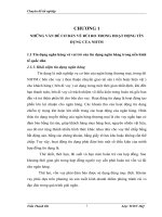 NHỮNG VẤN ĐỀ CƠ BẢN VỀ RỦI RO TRONG HOẠT ĐỘNG TÍN DỤNG CỦA NHTM.docx