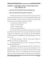 Phân tích hiệu quả của việc vận dụng quy trình cũng như thực trạng hoạt động tại Ngân Hàng Sài Gòn Thương Tín.doc