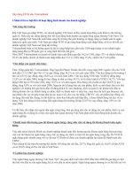 Xây dựng EFAS cho Vietcombank.doc