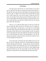 Nhượng quyền kinh doanh trong việc phát triển thương hiệu và giữ vững thị phần ở Việt Nam.docx