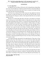 Một số giải pháp cơ bản nhằm nâng cao hiệu quả công tác văn phòng tại Công ty THHH MTV Tổng Công ty CNTT Nam Triệu.doc