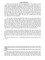 BÁO CÁO TỔNG HỢP VỀ CÔNG TY MAY CHIẾN THẮNG.DOC