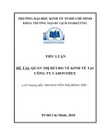 Quản trị rủi ro về kinh tế tại công ty Cadovimex.doc