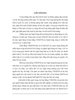 Giải pháp phát triển hoạt động TTKDTM tại chi nhánh NHNo&PTNT Nam Hà Nội.DOC