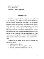 kinh nghiệm marketing quốc tế của tập đoàn bảo hiểm và dịch vụ tài chính AIG.doc