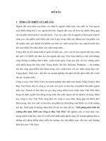 Giải pháp phát triển thị trường đến năm 2010 của Công ty May Việt Tiến.pdf