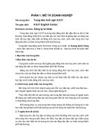 ĐÁNH GIÁ THỊ TRƯỜNG (2).DOC