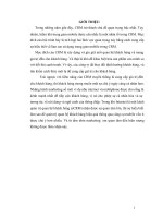 Quản trị quan hệ khách hàng tại Trung tâm dịch vụ viễn thông (CRM).doc