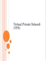 Virtual Private Network (VPN)  