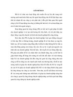 Phân tích hoạt động PR ở Việt Nam giai đoạn hiện nay (2011).doc